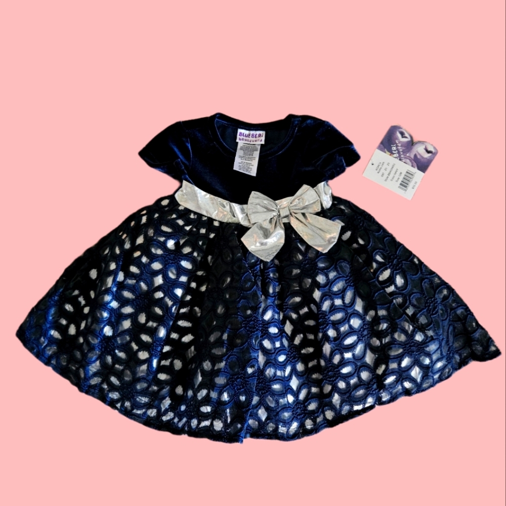 Lovely NWT 12 Mo Dress